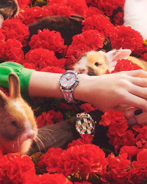 gucci celebrates the year of the rabbit|gucci the rabbit.